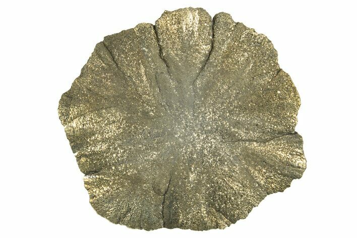 Radiant Pyrite Sun - Sparta, Illinois #342559